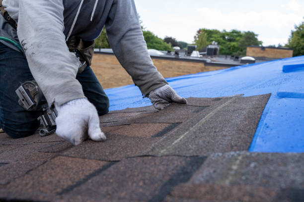 Professional Roofing Contractor in Hamilton, IL