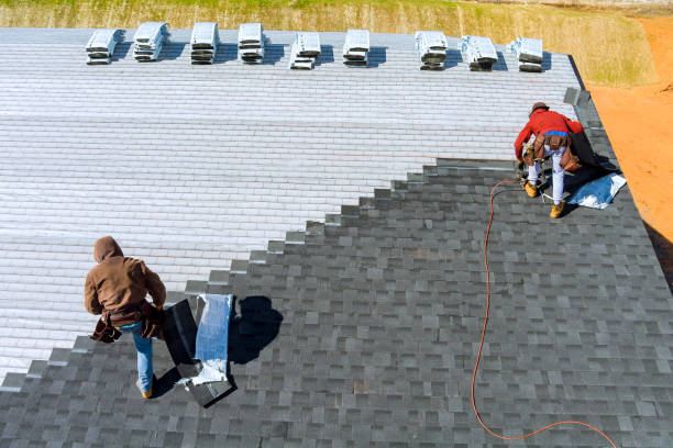 Best Roof Leak Repair  in Hamton, IL