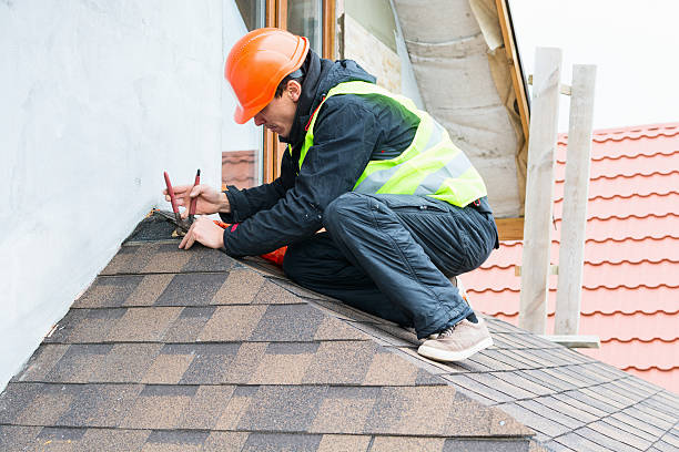 Roof Gutter Cleaning in Hamilton, IL