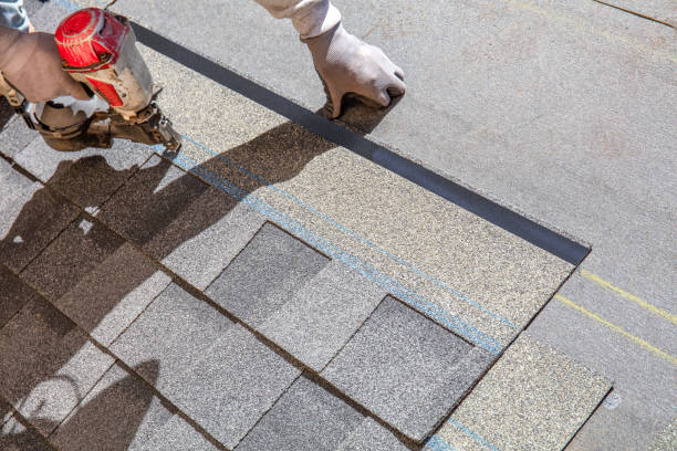 Best Metal Roofing Contractor  in Hamton, IL