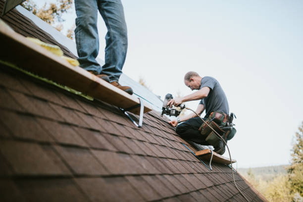 Quick and Trustworthy Emergency Roof Repair Services in Hamilton, IL